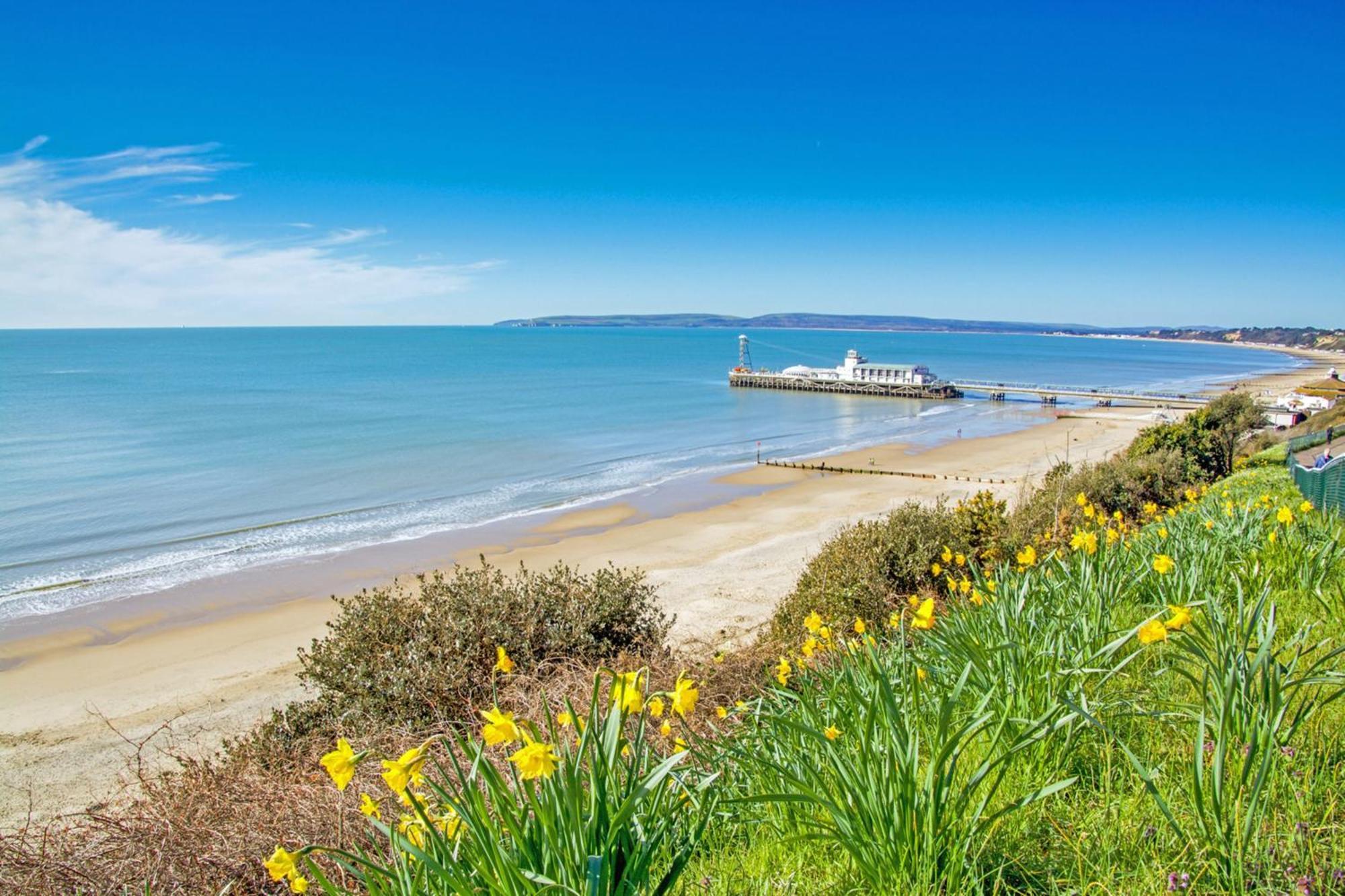 Bournecoast - Clifftop Apartment With Garden -Fm827 بورنماوث المظهر الخارجي الصورة
